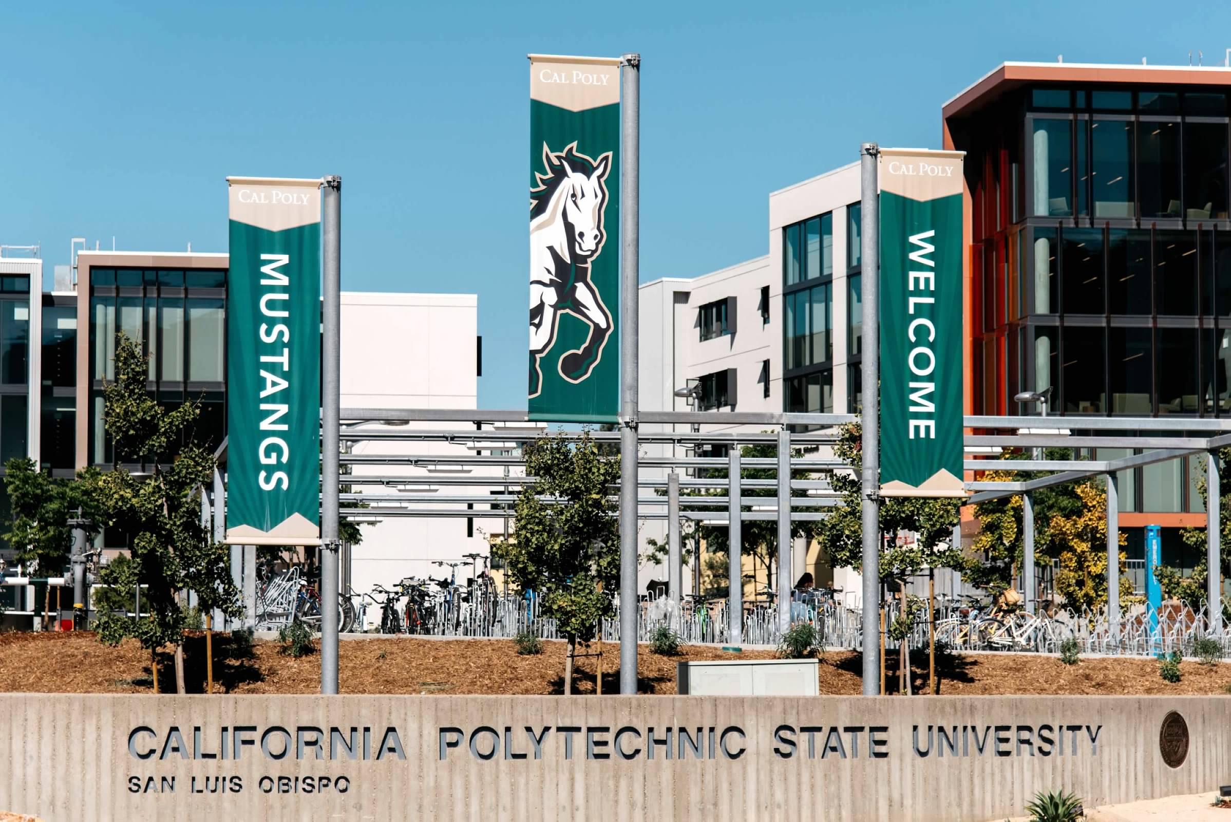 My Cal Poly Portal - fgbmktj